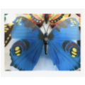 30 stuks plastic 3D grote vlinders 