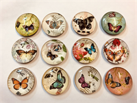 Magneet-koelkast-vlinder-3,5x1cm kristal glas set van 10 stuks magneetjes van vlinders.